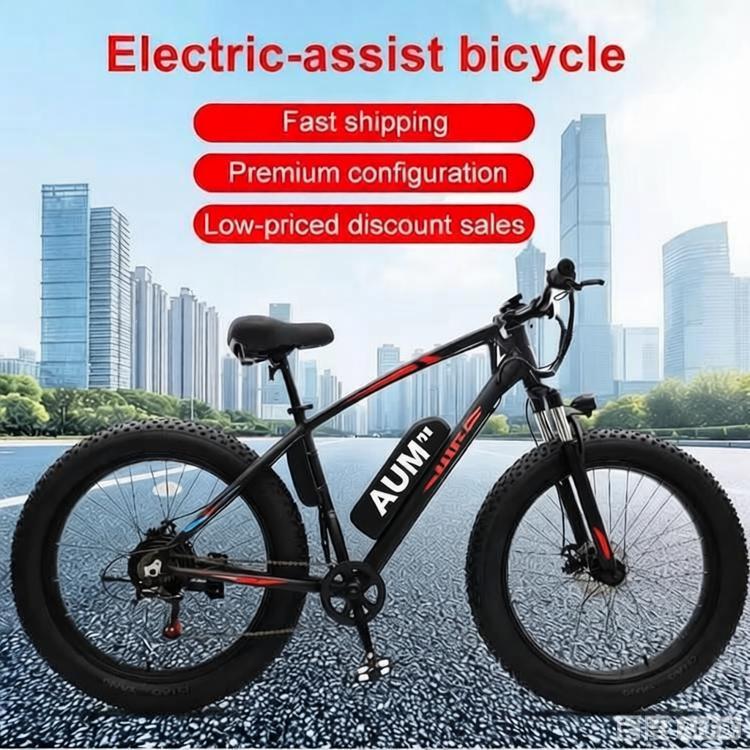 24 Inch Fat Tire Mountain Bike for Men and Women, High Carbon Steel Frame Beach and Snow Wide Tire Adult Bicycle, 7-Speed and Dual-Disc Brake MTB