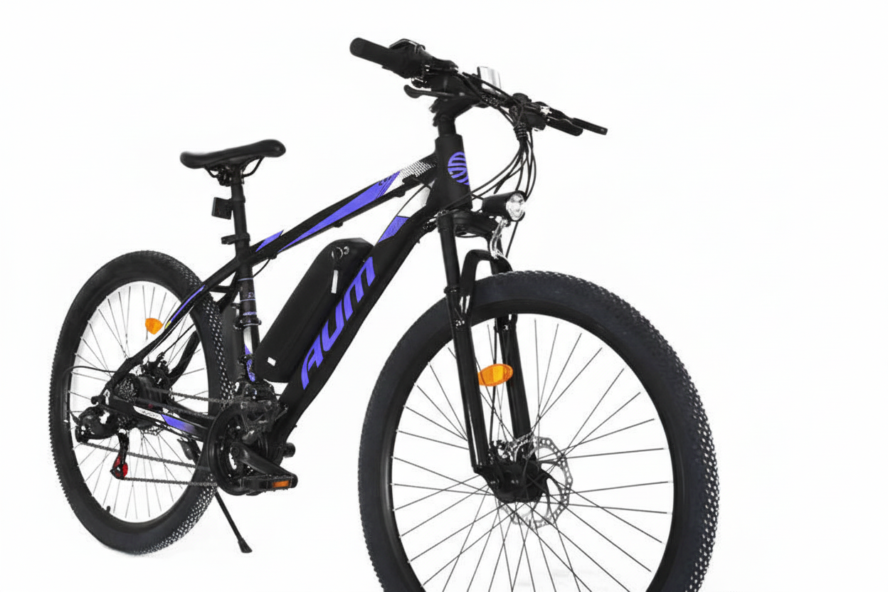 24 Inch Mountain Bike for Men and Women, High Carbon Steel Frame Beach and Snow Adult Bicycle, 21-Speed and Dual-Disc Brake MTB